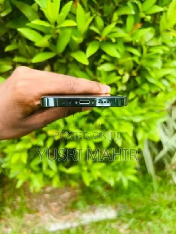 Apple iPhone 12 Pro (Used)