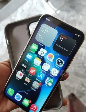 Apple iPhone 12 (Used)