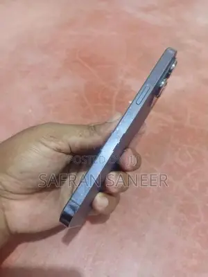 Apple iPhone 14 Pro Max (Used)