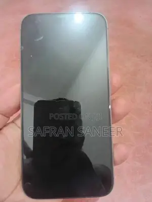 Apple iPhone 14 Pro Max (Used)