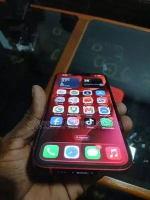 Apple iPhone 13 (Used)