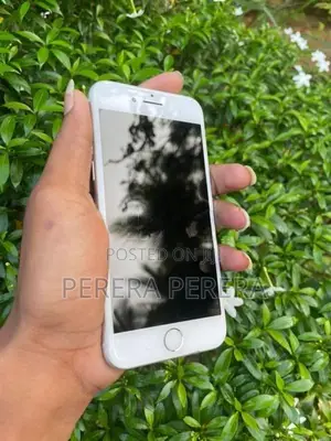 Apple iPhone 8 (Used)