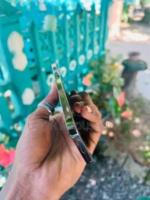 Apple iPhone 12 Pro (Used)