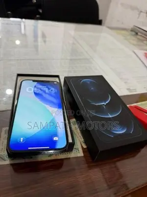 Apple iPhone 12 Pro Max (Used)