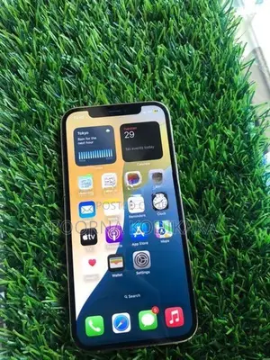 Apple iPhone 12 Pro (Used)