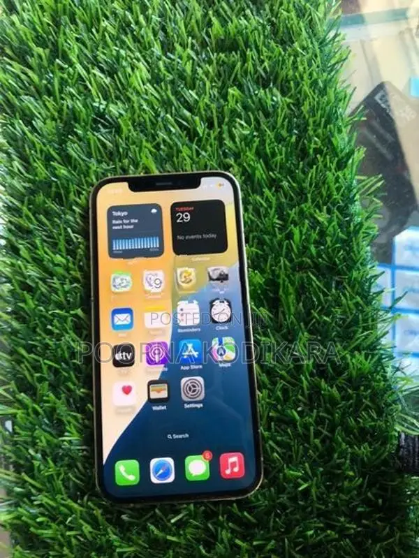 Apple iPhone 12 Pro (Used)