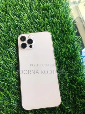 Apple iPhone 12 Pro (Used)