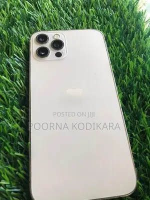 Apple iPhone 12 Pro (Used)