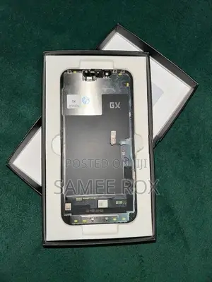 Apple 13pro GX Display