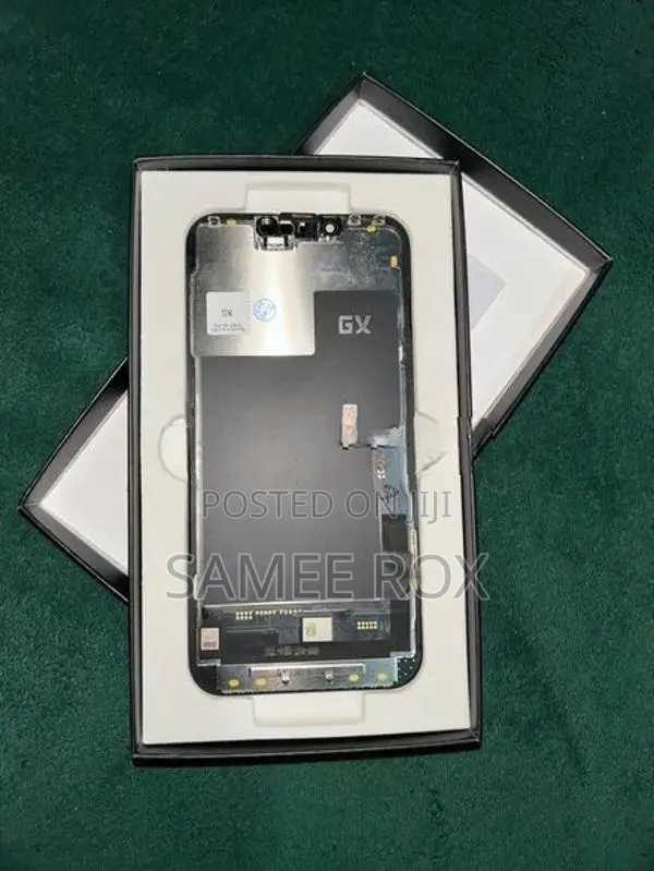 Apple 13pro GX Display