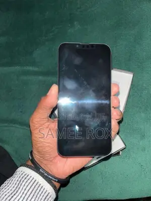 Apple 13pro GX Display