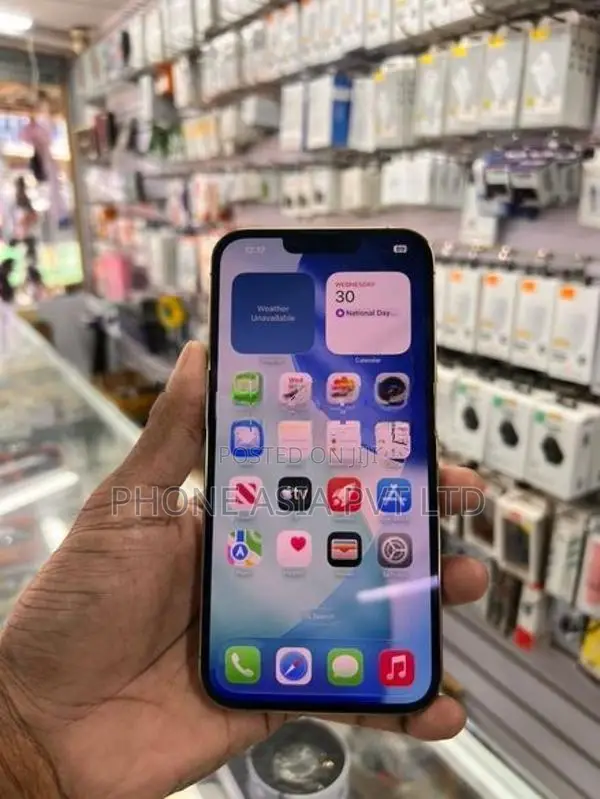 Apple iPhone 13 Pro Max (Used)