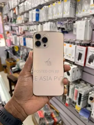 Apple iPhone 13 Pro Max (Used)