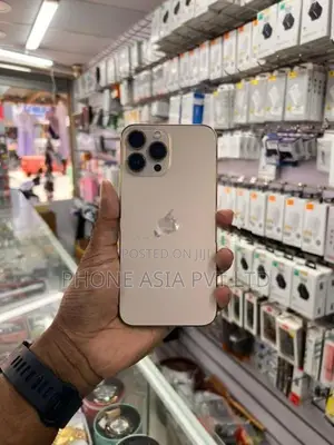 Apple iPhone 13 Pro Max (Used)