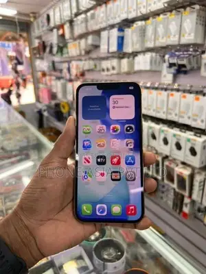 Apple iPhone 13 Pro Max (Used)