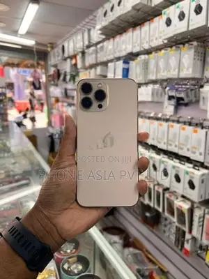 Apple iPhone 13 Pro Max (Used)