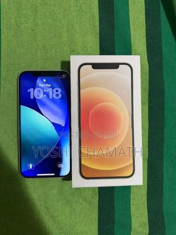 Apple iPhone 12 (Used)