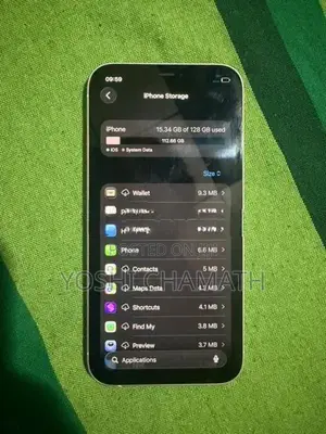 Apple iPhone 12 (Used)