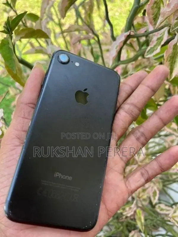 Apple iPhone 7 (Used)