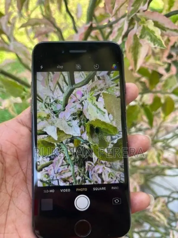 Apple iPhone 7 (Used)