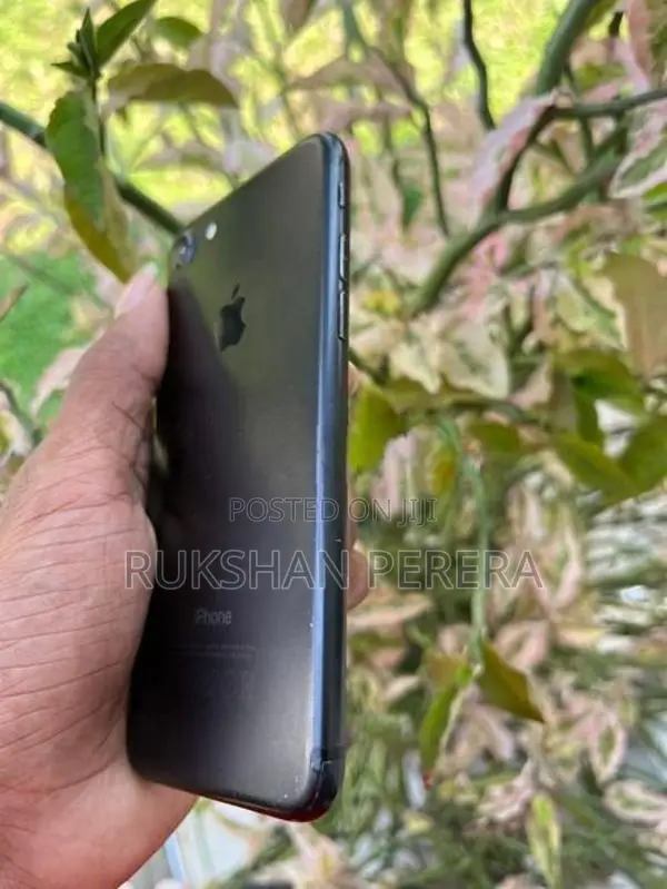 Apple iPhone 7 (Used)