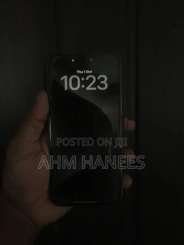 Apple iPhone 15 Pro Max (Used)
