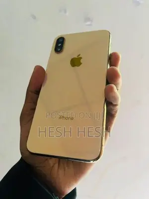 Apple iPhone XS 256GB (Used)