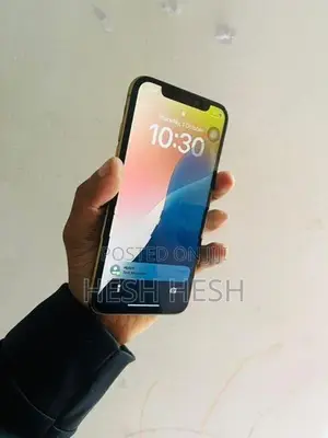 Apple iPhone XS 256GB (Used)