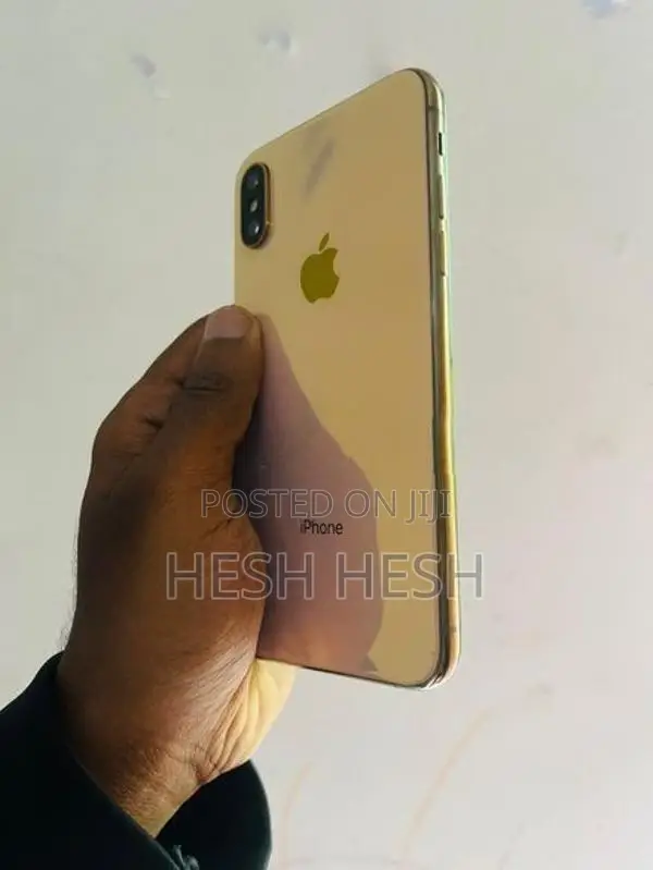 Apple iPhone XS 256GB (Used)
