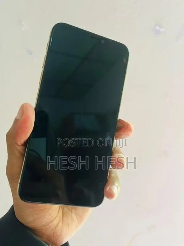 Apple iPhone XS 256GB (Used)