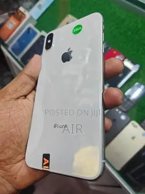 Apple iPhone XS Max 256GB (Used)