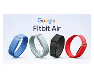 Google Fitbit Air