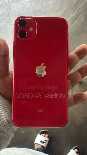 Apple iPhone 11 (Used)