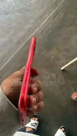 Apple iPhone 11 (Used)