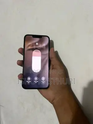 Apple iPhone 13 Pro (Used)
