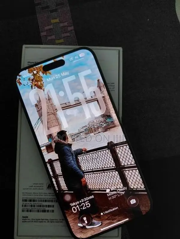 Apple iPhone 15 Pro Max 256GB (Used)