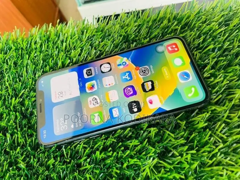 Apple iPhone X (Used)