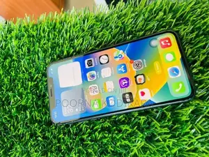 Apple iPhone X (Used)