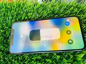Apple iPhone X (Used)