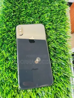 Apple iPhone X (Used)