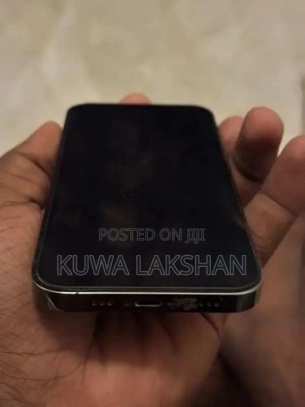 Apple iPhone 13 Pro (Used)