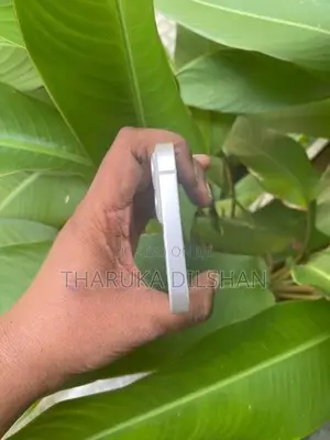 Apple iPhone 13 (Used)