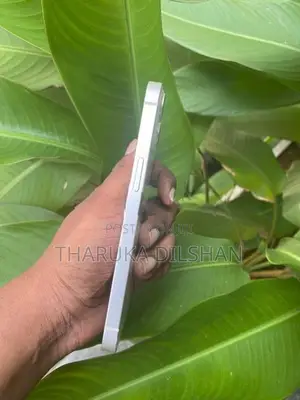 Apple iPhone 13 (Used)