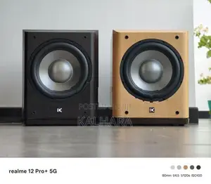 Dynamic Audio DA-SW100 10" Active Subwoofer .