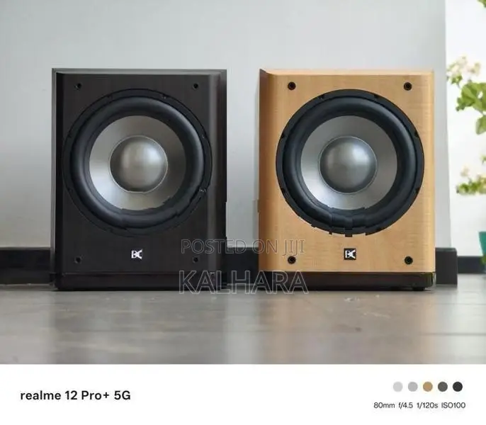 Dynamic Audio DA-SW100 10" Active Subwoofer .