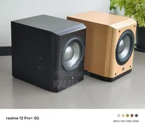Dynamic Audio DA-SW100 10" Active Subwoofer .