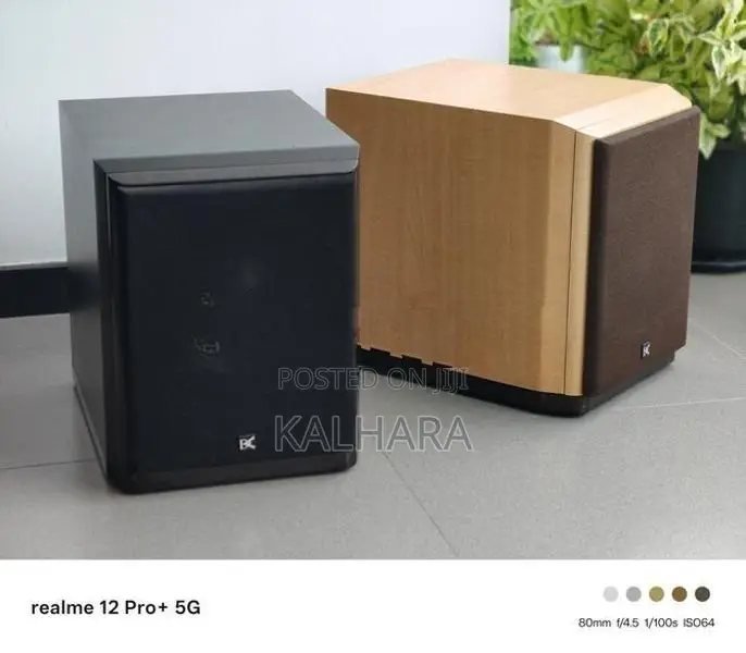 Dynamic Audio DA-SW100 10" Active Subwoofer .