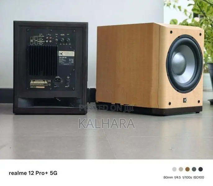 Dynamic Audio DA-SW100 10" Active Subwoofer .