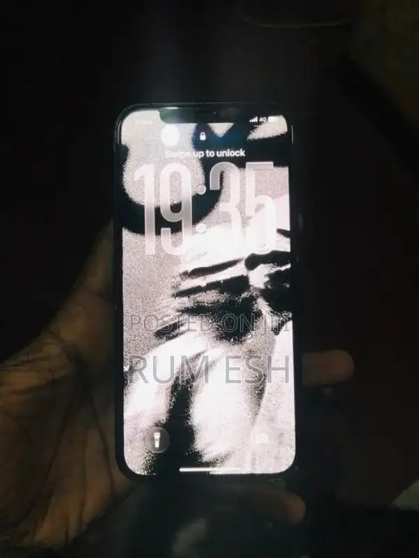 Apple iPhone 12 (Used)