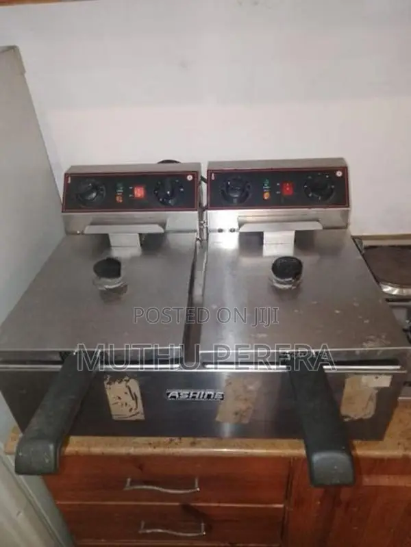 Electric Deep Fryer